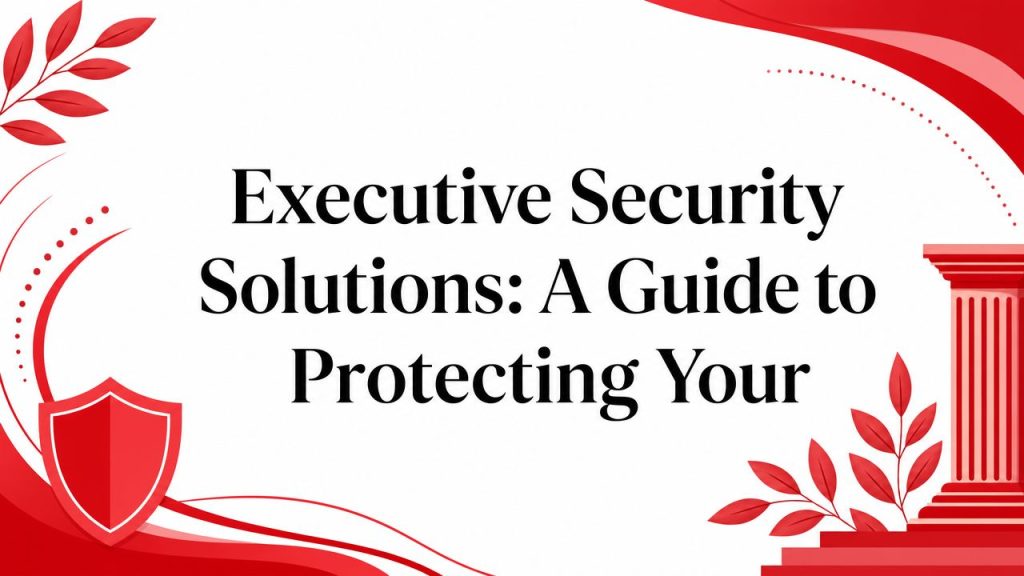 executive security solutions security infographic