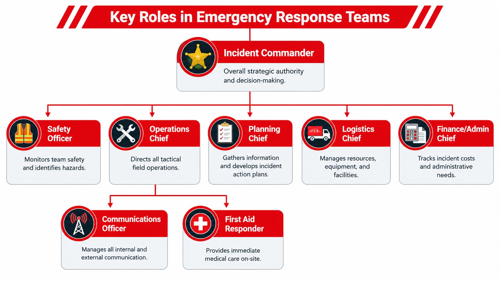 7 Essential Emergency Response Team Structure Models 3 A hierarchical flowchart illustrating the key roles and reporting structure within an emergency response team organization.