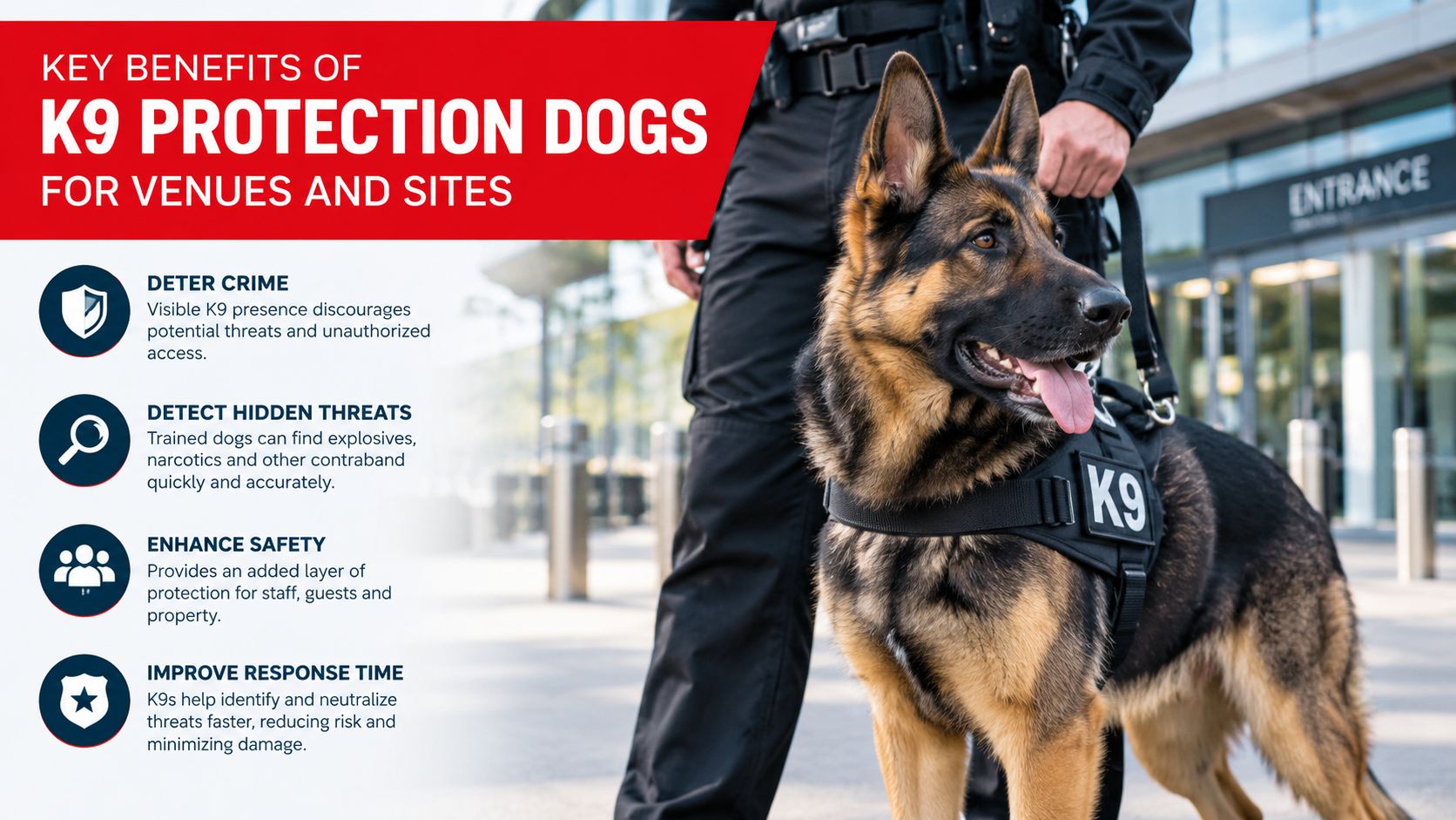 K9 Protection Dogs 7 Proven Ways They Keep Events Safe 4 A professional K9 protection dog standing next to its handler in front of a building entrance.