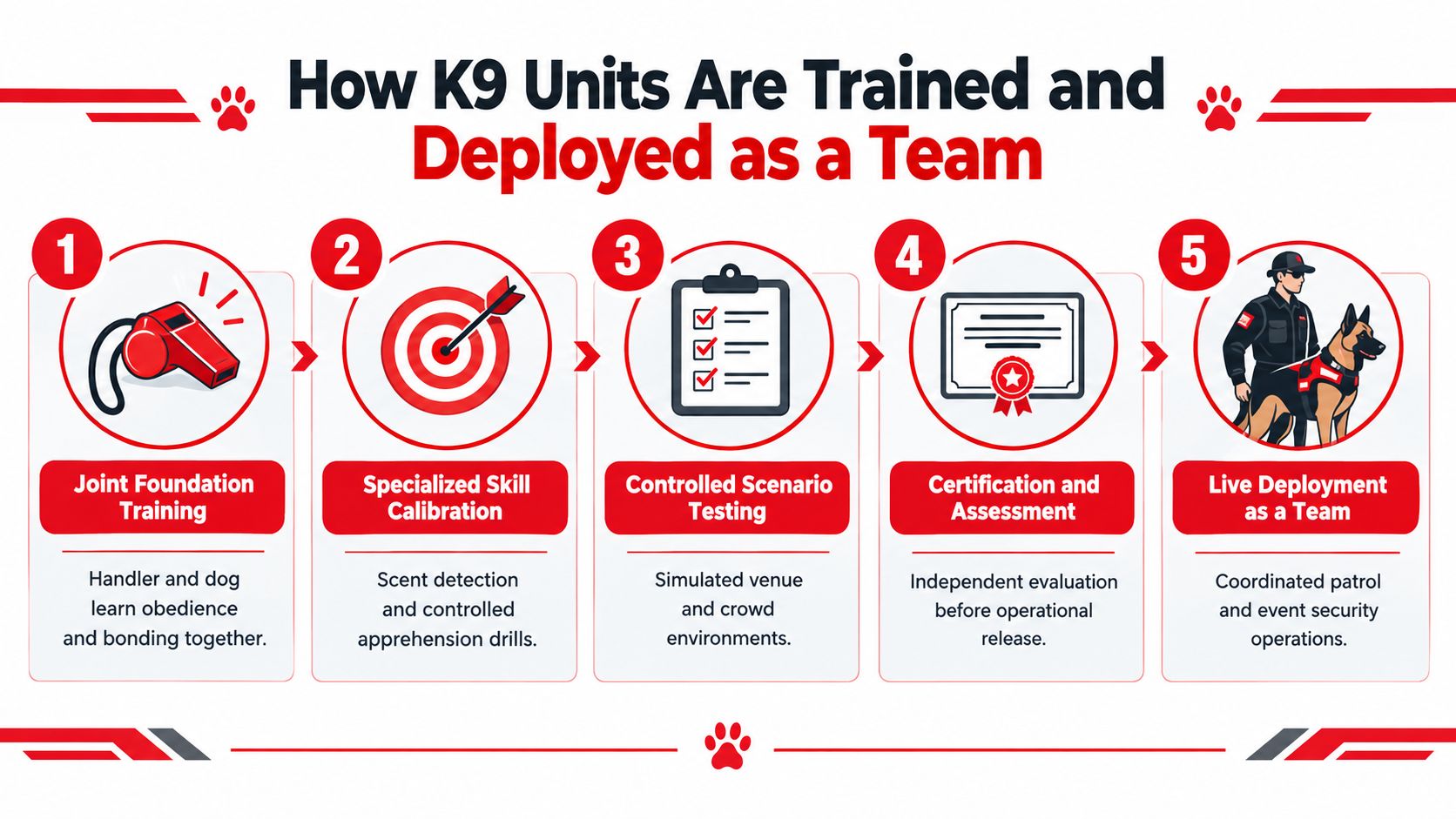 K9 Protection Dogs 7 Proven Ways They Keep Events Safe 3 An infographic showing the five-step process for training and deploying K9 units as a professional team.